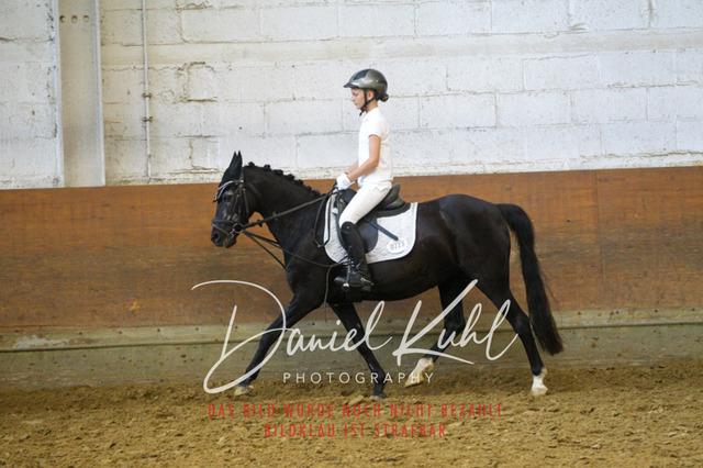 DKP44069 | Turniersportfotografie; Pferdefotografie; Dressurfotografie