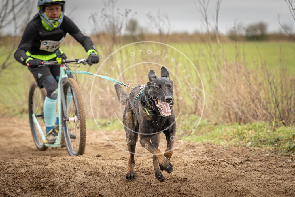 DV3A1357 | Hundefotografie, Tierfotograf, Pfotenfotografie, Fotoshooting Hund, Hunde Portrait, Hundesport, Hundeportraits, Heideshooting, Hunde, Sportfotograf, Hundefotograf, Turnierhundsport, THS,  - Realisiert mit Pictrs.com