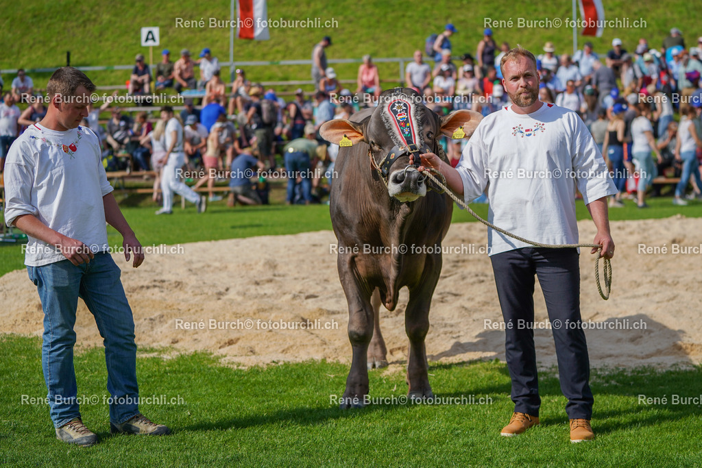 20220515-DSC08274 | René Burch leidenschaftlicher Fotograf aus Kerns in Obwalden.  Hier finden sie Sport, Landschaft und Natur Fotografie.
 - Realisiert mit Pictrs.com