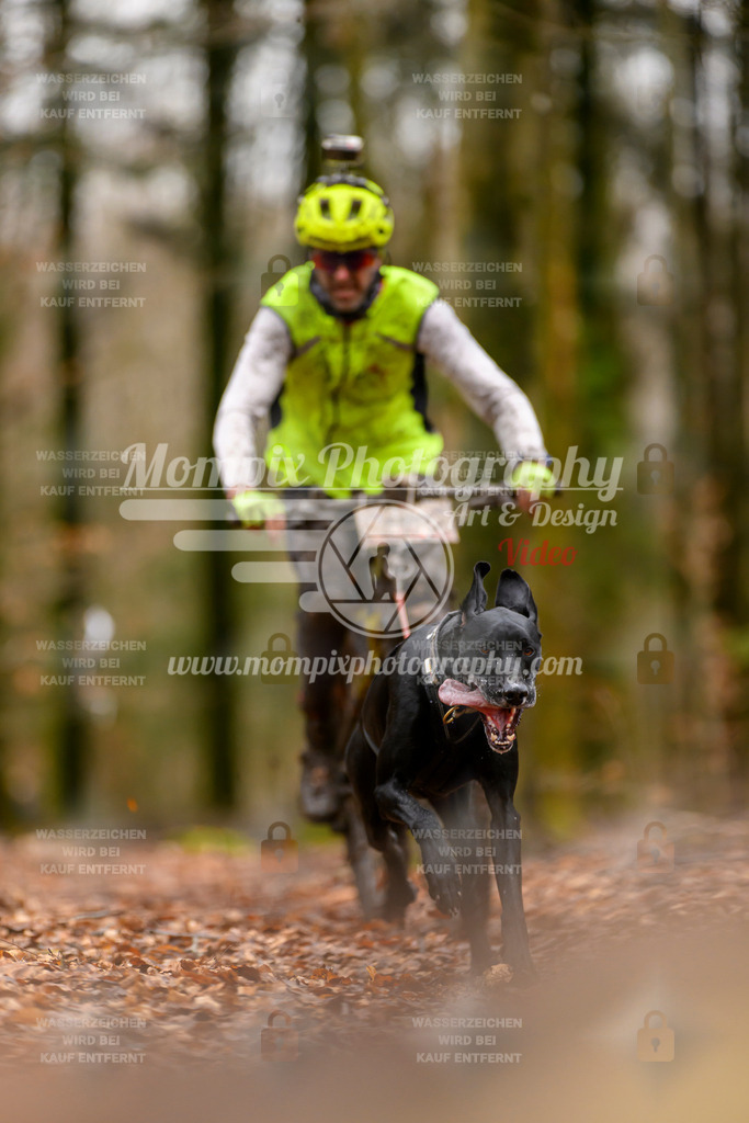 MompixPhotography_Habay2024_SA_Bike-36 | mompixphotography