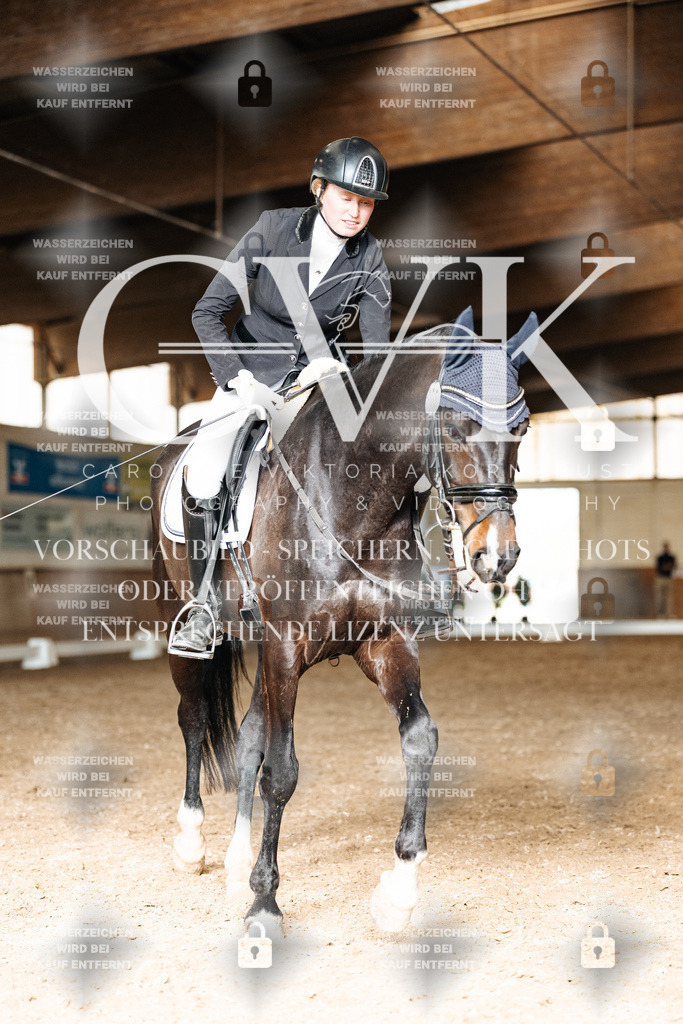 CK901887 | Turnierfotografie Pferdefotografie Trier Rheinland-Pfalz Pferdesport Reitsport Tierfotografie Sportfotografie Pferdevideo Pferdevideografie Equestrianvideography equestrianphotography  - Realisiert mit Pictrs.com