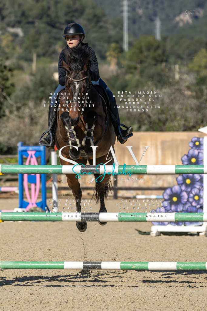 IMG_6960 | s-jay-photography - Realisiert mit Pictrs.com