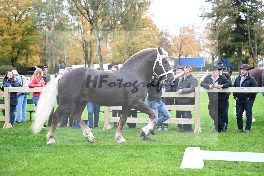 Kat-Nr. 6 Steinbach von Burggen v. Sixtus_Schleich_41250176 | hf-fotografie - Realizzato con Pictrs.com