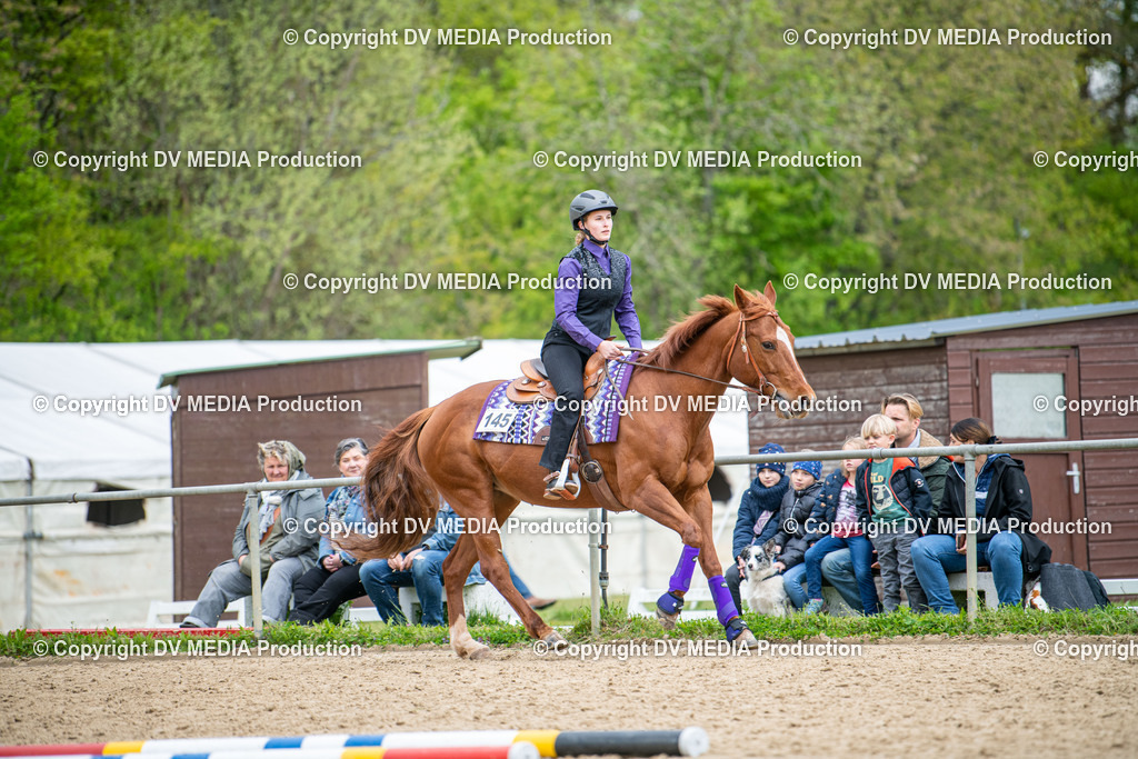 Heiligenwald Tag 1-1256 | dv-media-shop - Realisiert mit Pictrs.com