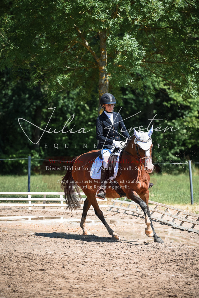 DSC_3175 | Pferde- und Turnierfotografie in Westsachsen. Pferdeportraits, Auftragszeichnungen und intuitive Kunst.