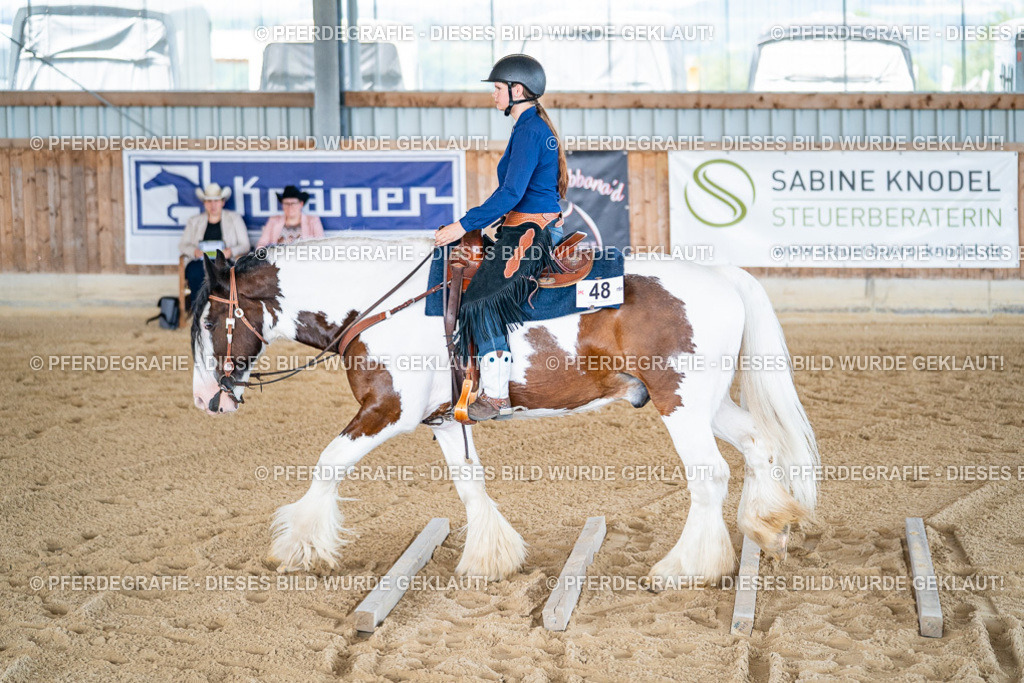 DSC02981 | Pferdegrafie