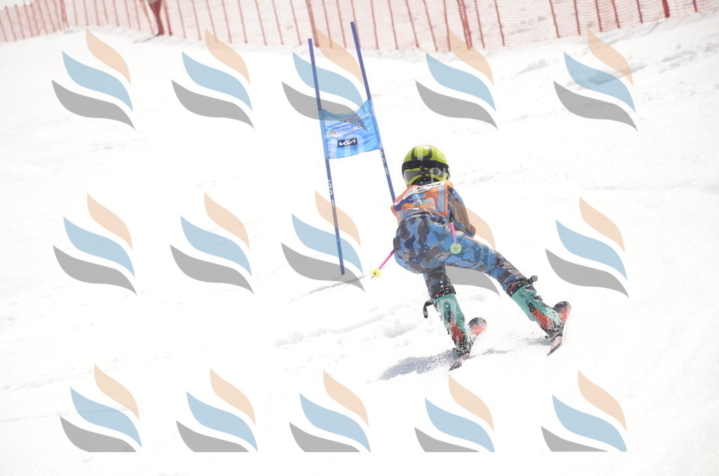 _ELE9344 | holidayphoto