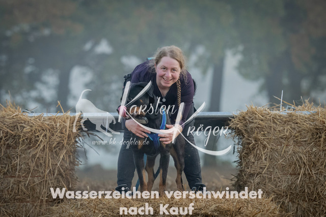 0819_ZZ97720 | kk-dogfotos