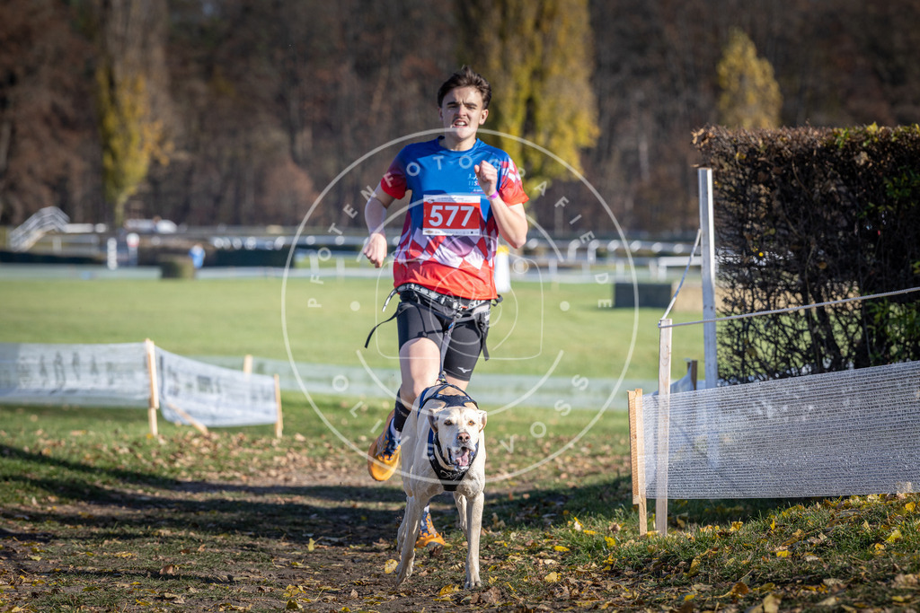 CaniXpix_DV3A8979 | Hundefotografie, Tierfotograf, Pfotenfotografie, Fotoshooting Hund, Hunde Portrait, Hundesport, Hundeportraits, Heideshooting, Hunde, Sportfotograf, Hundefotograf, Turnierhundsport, THS,  - Realisiert mit Pictrs.com