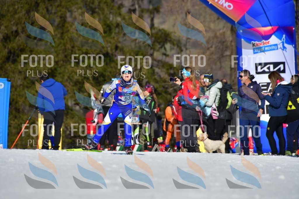 _DSC9133 | holidayphoto