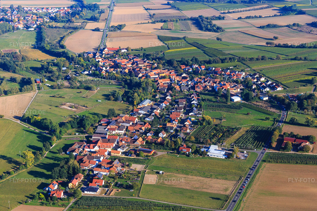 Luftbild: Dorfansicht aus Nordwesten in Oberhausen im Bundesland Rheinland-Pfalz in Deutschland. Foto: IMG_095307.jpg vom 16.10.2016 durch Werner Riehm/FLY-FOTO.de
