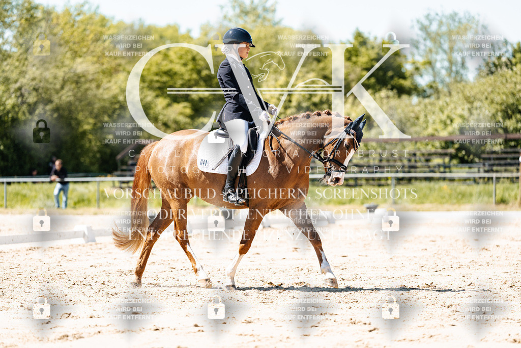 CK905654 | Turnierfotografie Pferdefotografie Trier Rheinland-Pfalz Pferdesport Reitsport Tierfotografie Sportfotografie Pferdevideo Pferdevideografie Equestrianvideography equestrianphotography  - Realisiert mit Pictrs.com
