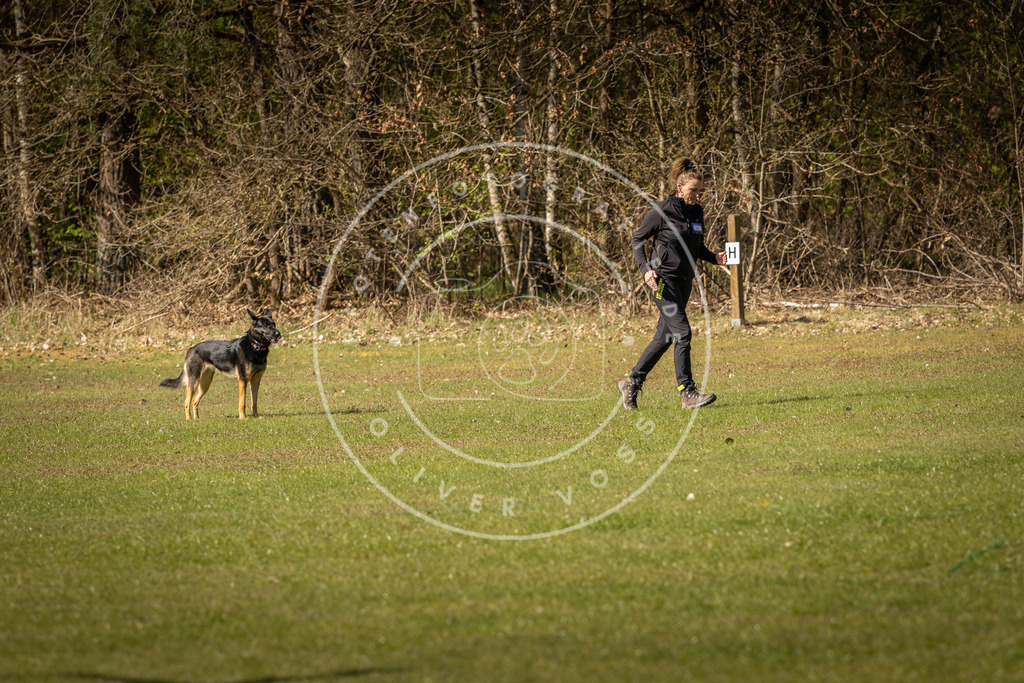 Pfotenfotografie_DV3A0479 | Hundefotografie, Tierfotograf, Pfotenfotografie, Fotoshooting Hund, Hunde Portrait, Hundesport, Hundeportraits, Heideshooting, Hunde, Sportfotograf, Hundefotograf, Turnierhundsport, THS,  - Realisiert mit Pictrs.com