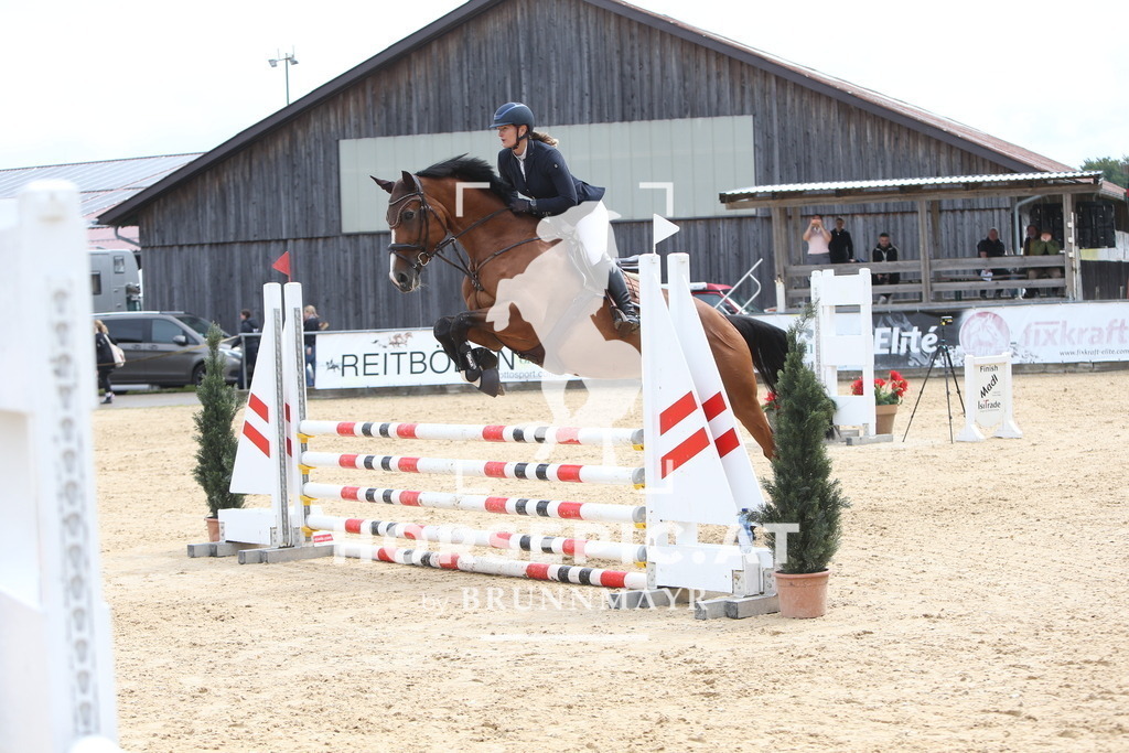 DL2Q1682 | Willkommen bei Brunnmayr - Design & Fotografie – Ihrem Spezialisten für Reitturniere und Pferdeveranstaltungen in Oberösterreich, Salzburg und Bayern! Seit über 17 Jahren sind wir leidenschaftlich dabei.