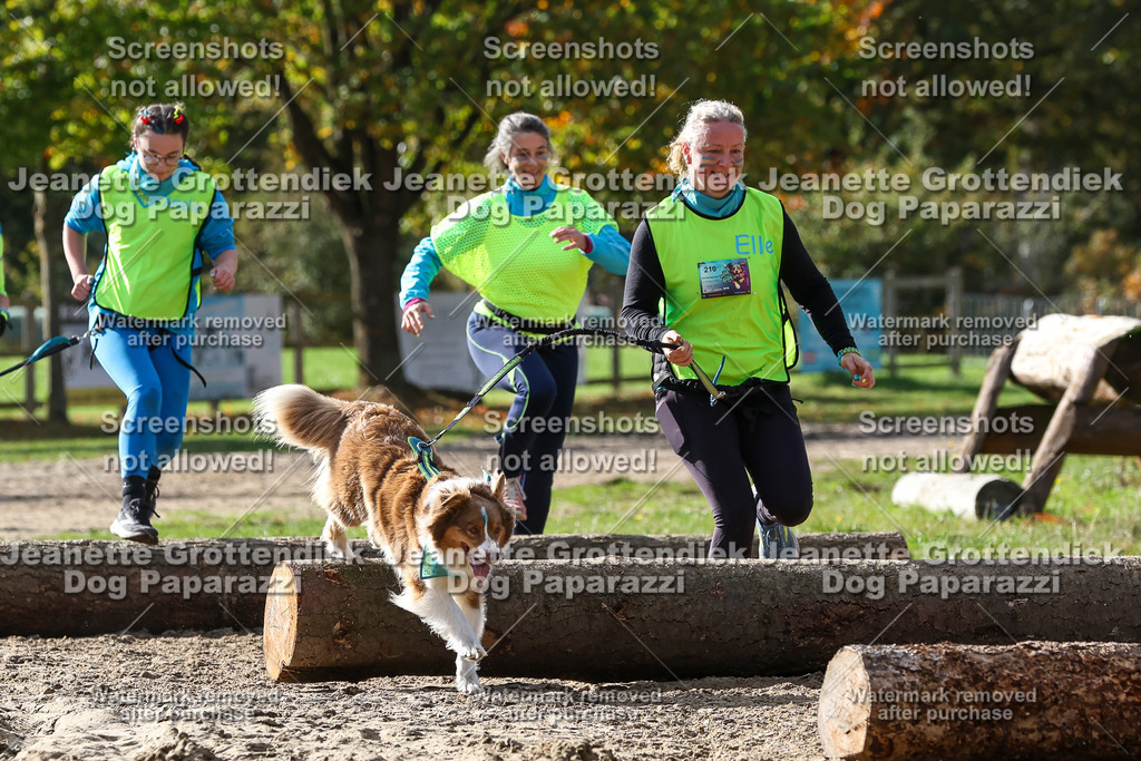 Dog Paparazzi - Strongdog 10-25-5579 | Dog Paparazzi Jeanette Grottendiek Fotografie & Videografie - Realisiert mit Pictrs.com