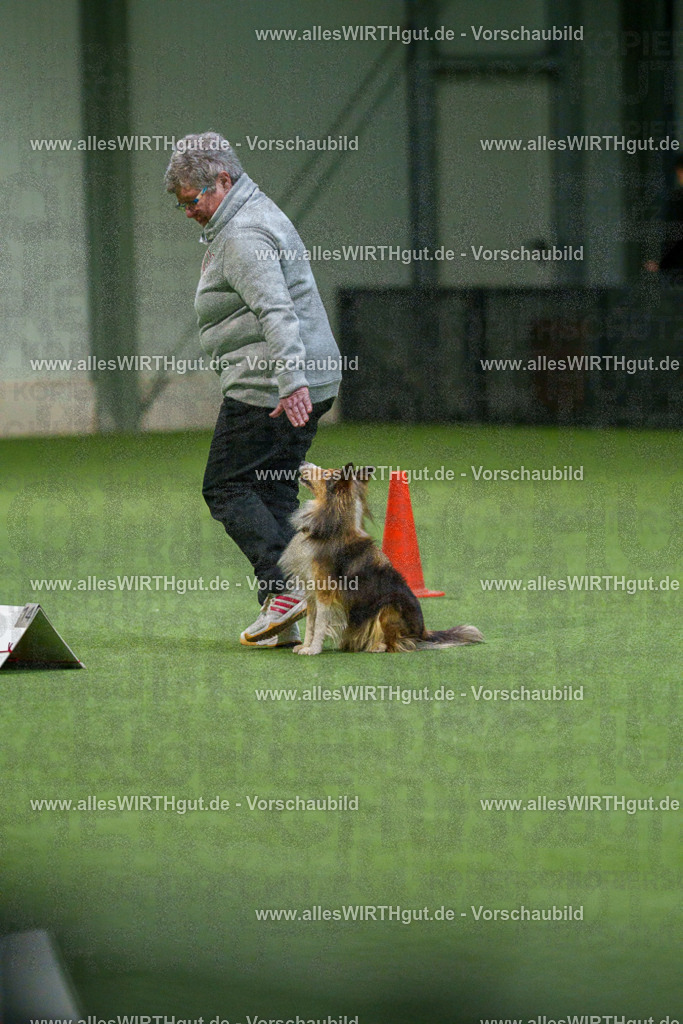 7R504859 | Professionelle Tierfotografie in Mönchengladbach von Daniel Wirth (allesWIRTHgut). Liebevolle & natürliche Bilder von Hunden & Katzen für unvergessliche Erinnerungen.