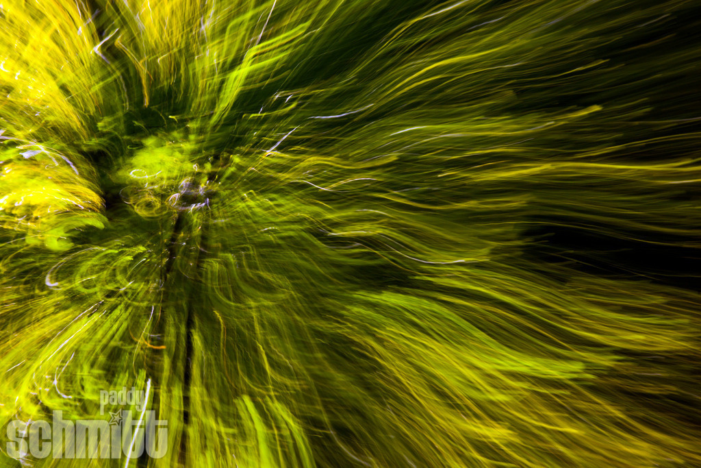 PS-Blur-2026-23 | Entdecke die größte Bildgalerie der Region mit Fotografien aus dem Allgäu, der Bodenseeregion, Oberschwaben, dem Donautal und der Schwäbischen Alb. Landschaften, Luftaufnahmen und Reisefotografie als Wandbild und Fotokunst. - Realisiert mit Pictrs.com