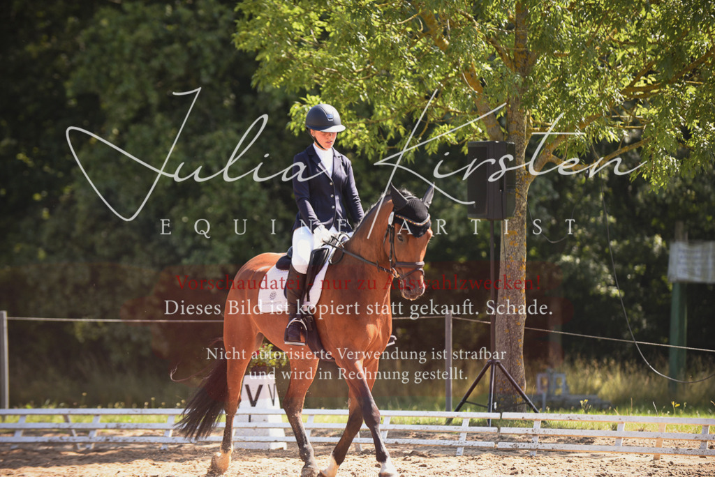 DSC_0558 | Pferde- und Turnierfotografie in Westsachsen. Pferdeportraits, Auftragszeichnungen und intuitive Kunst.