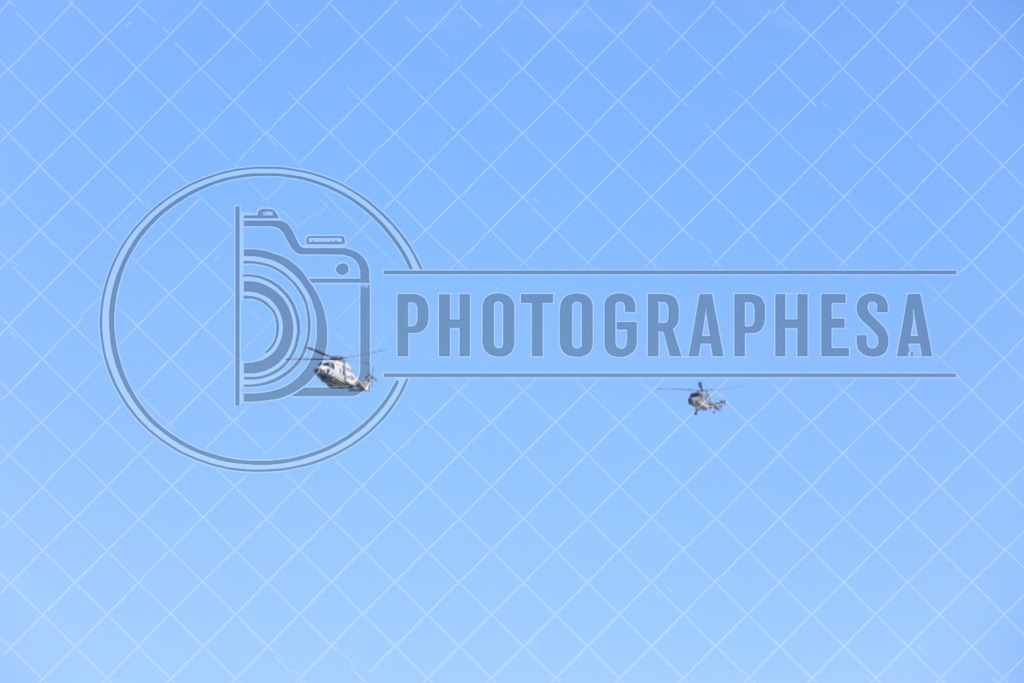IMG_8833 | photographesa-joergens - Realisiert mit Pictrs.com