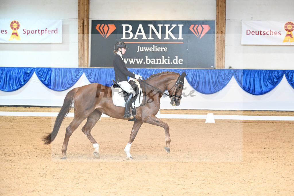 Kat-Nr. 12 Belle Amie_Schramm_14240665 | hf-fotografie - Realisiert mit Pictrs.com