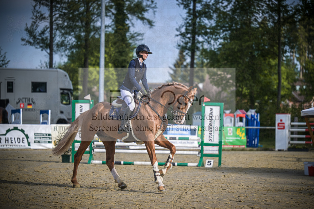 DOS_3861 | Entdecke hochwertige Reitturnierfotos von Foto Oger. Professionell, emotional und authentisch – jetzt Lieblingsmomente im Shop bestellen.Deutschlandweite Turnierfotografie. - Realisiert mit Pictrs.com