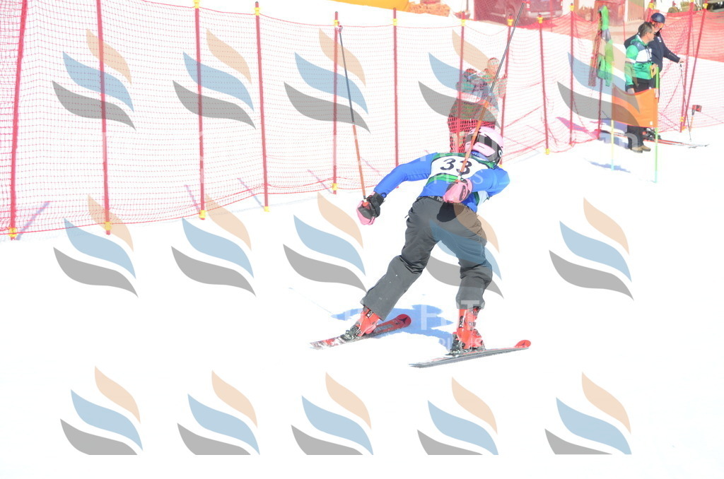 C6966 | holidayphoto