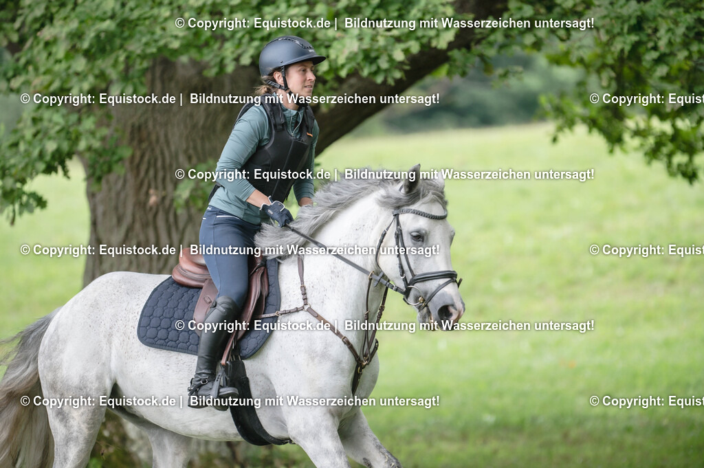 20250726_Vielseitigkeitslehrgang-Marbach_0532 | Foto: Thomas Hartig