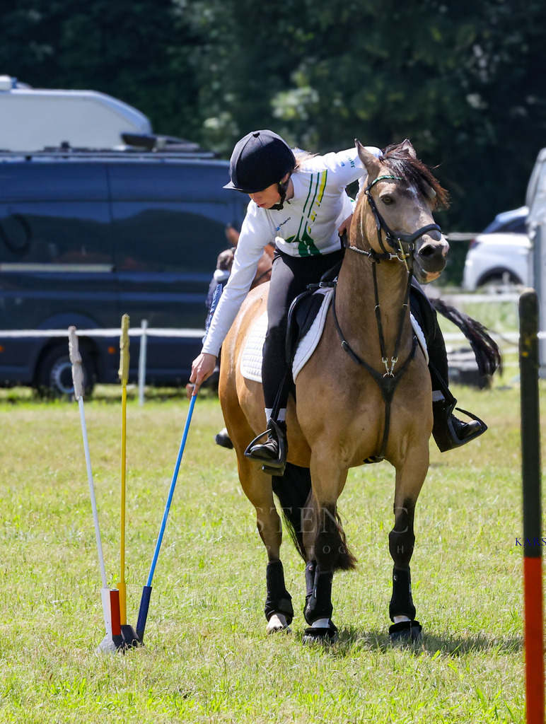 IMG_1585 | Reitsport Reiten