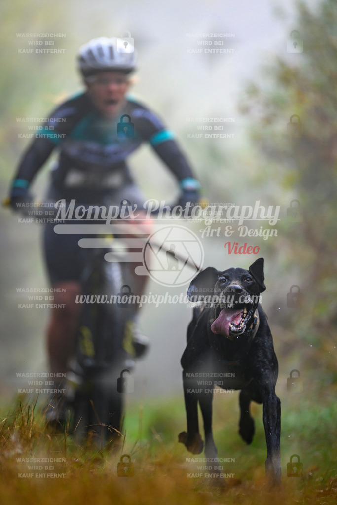 MompixPhotography_20TSB_E4_Bike-76 | PayLife