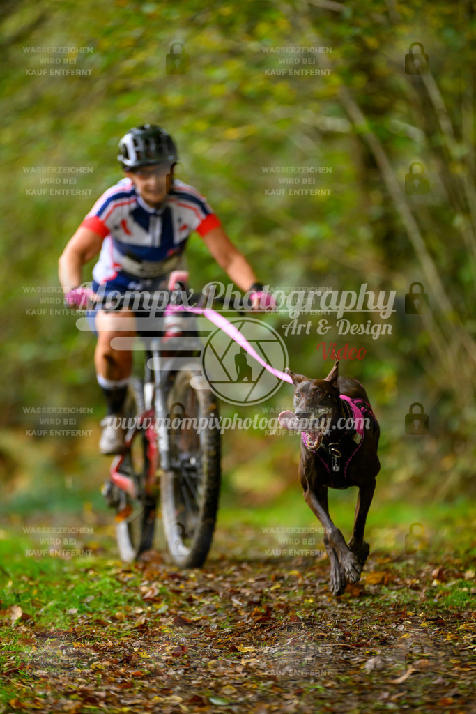 MompixPhotography_20TSB_E1_Bike-5 | PayLife
