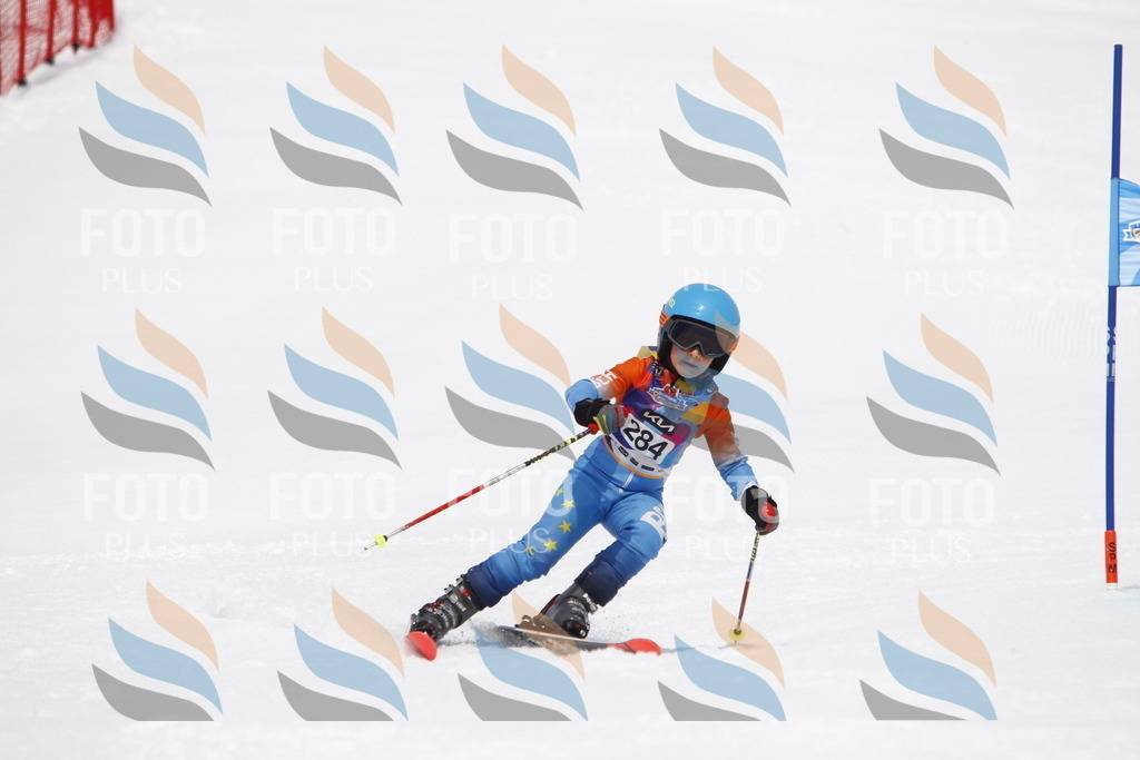 _U3G7113 | holidayphoto