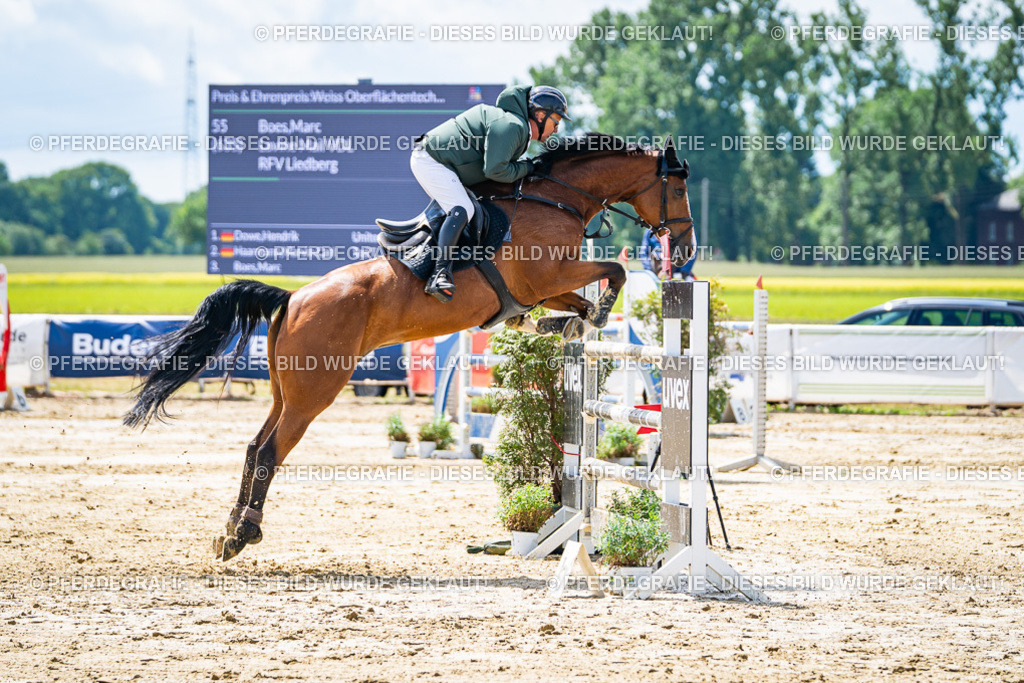 DSC04980 | Pferdegrafie