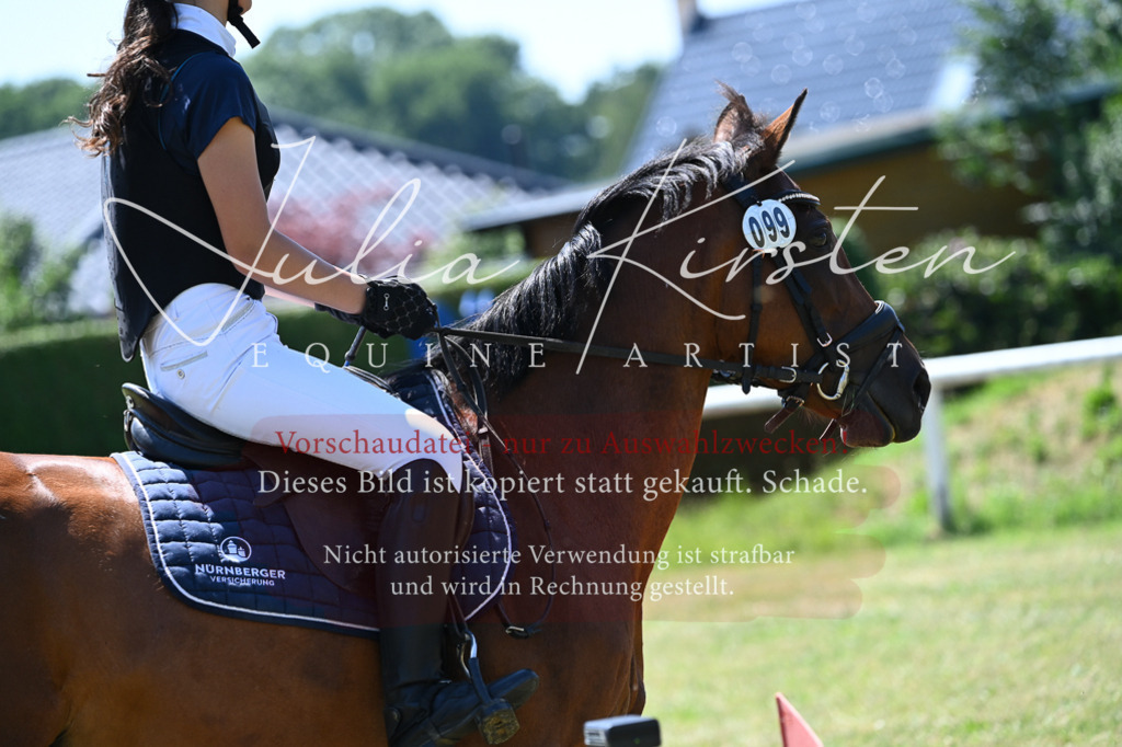 DSC_0813 | Pferde- und Turnierfotografie in Westsachsen. Pferdeportraits, Auftragszeichnungen und intuitive Kunst.