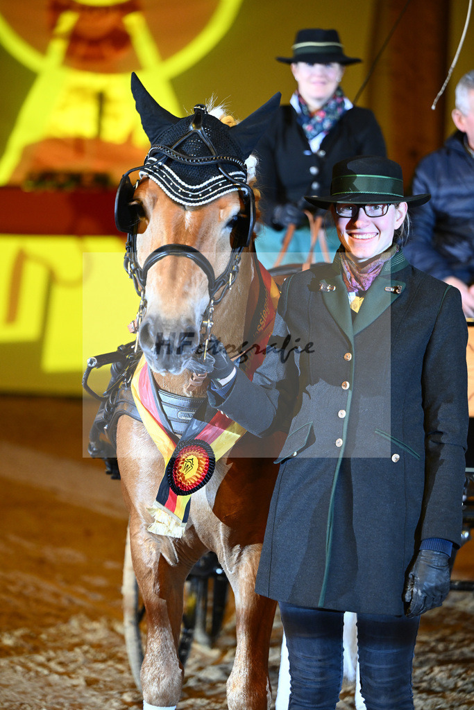 Avici Ass_2242203 | hf-fotografie - Realisiert mit Pictrs.com