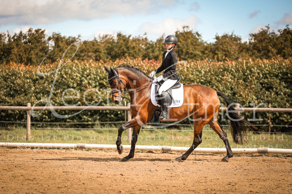 14.SaDrA200124 | Leoni Ertmer Photography - Realisiert mit Pictrs.com