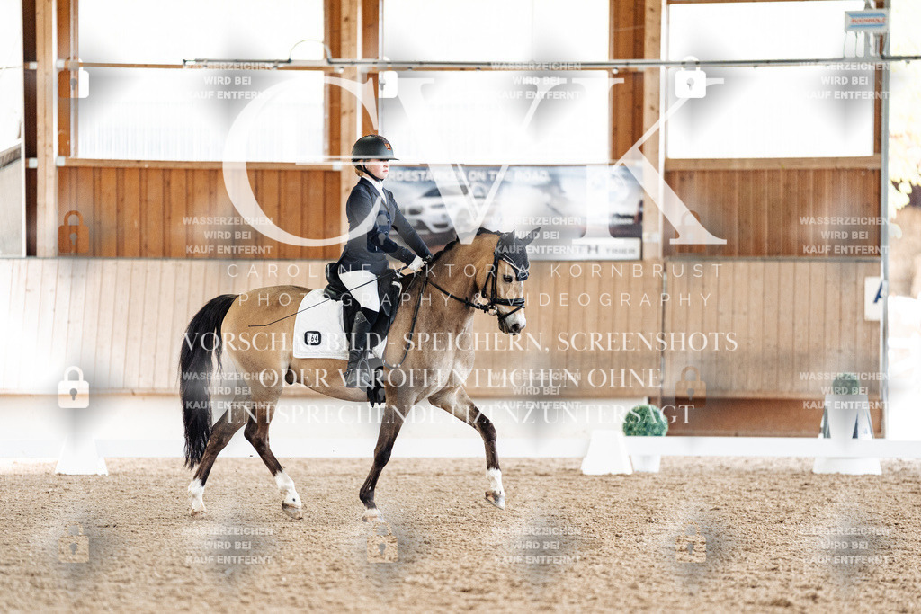 CK900256 | Turnierfotografie Pferdefotografie Trier Rheinland-Pfalz Pferdesport Reitsport Tierfotografie Sportfotografie Pferdevideo Pferdevideografie Equestrianvideography equestrianphotography  - Realized with Pictrs.com