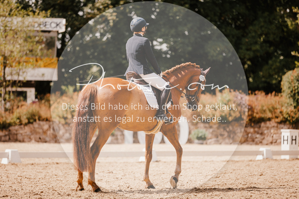 3I6A6259 | Stimmungsvolle Portraits und Reitsportfotografie im Ruhrgebiet und im Münsterland.

Pferdefotografie, Hundefotografie, Tierfotografie, Reportagen, Portraits von Tier und Mensch, Turnierfotografie in Bochum, Recklinghausen, Marl, Haltern am See, Dülmen.. - Realisiert mit Pictrs.com