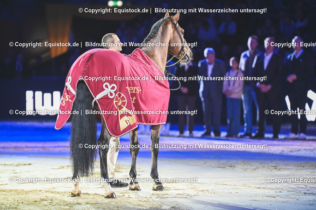 20251113_Masters-Hengst_TOMSPIC_0010 | Foto: Thomas Hartig