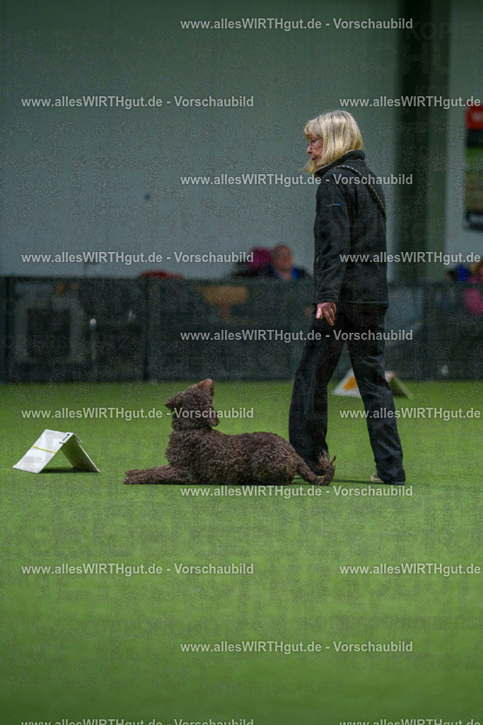 7R504905 | Professionelle Tierfotografie in Mönchengladbach von Daniel Wirth (allesWIRTHgut). Liebevolle & natürliche Bilder von Hunden & Katzen für unvergessliche Erinnerungen.