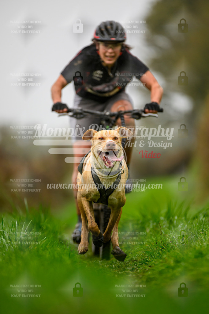 MompixPhotography_20TSB_E8_Bike-88 | PayLife