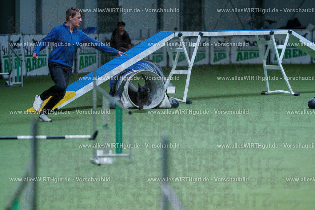@allesWIRTHgut_Tierfotografie - www.allesWIRTHgut.de - 2604251304-7R503538 | Professionelle Tierfotografie in Mönchengladbach von Daniel Wirth (allesWIRTHgut). Liebevolle & natürliche Bilder von Hunden & Katzen für unvergessliche Erinnerungen.