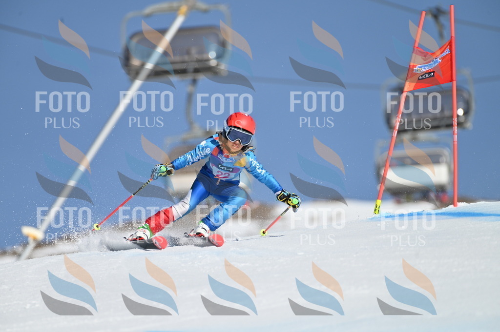 BGV_7970 | holidayphoto