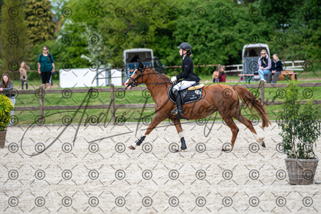 KPT_6288 | andre_photographic