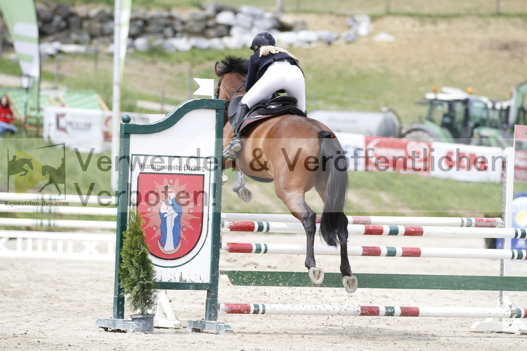 _MG_4024 | equestrian-live-com