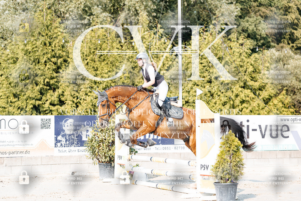 CK902659 | Turnierfotografie Pferdefotografie Trier Rheinland-Pfalz Pferdesport Reitsport Tierfotografie Sportfotografie Pferdevideo Pferdevideografie Equestrianvideography equestrianphotography  - Realisiert mit Pictrs.com