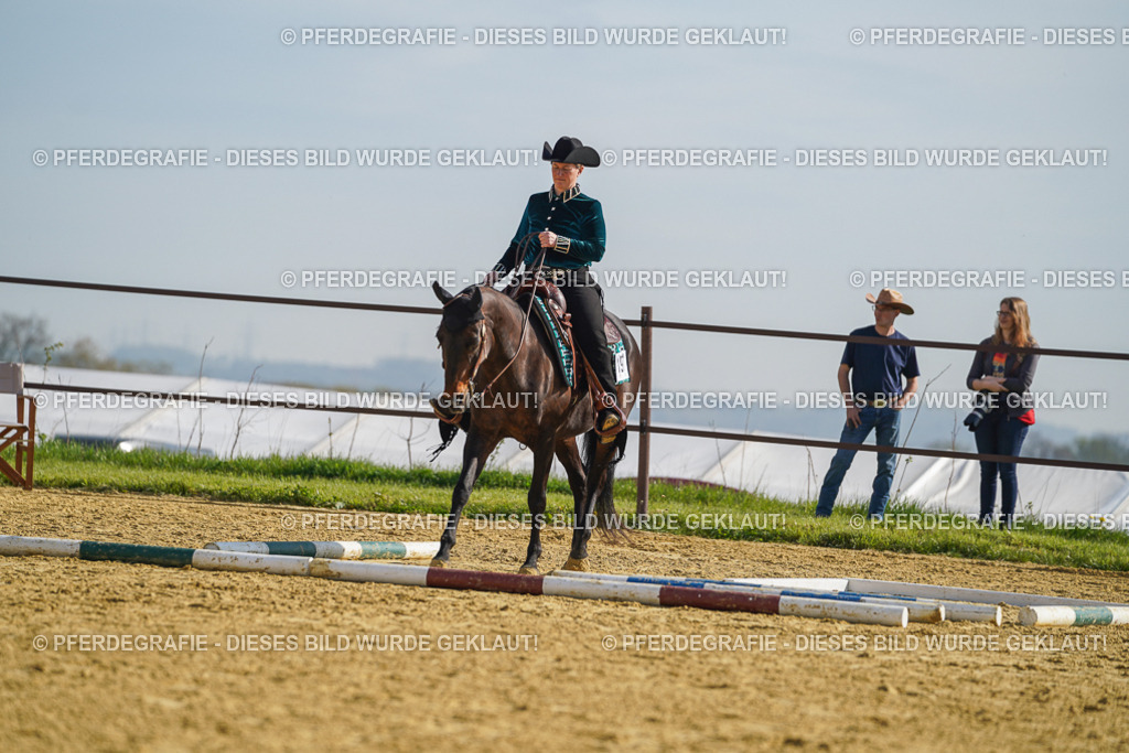 DSC01000 | Pferdegrafie