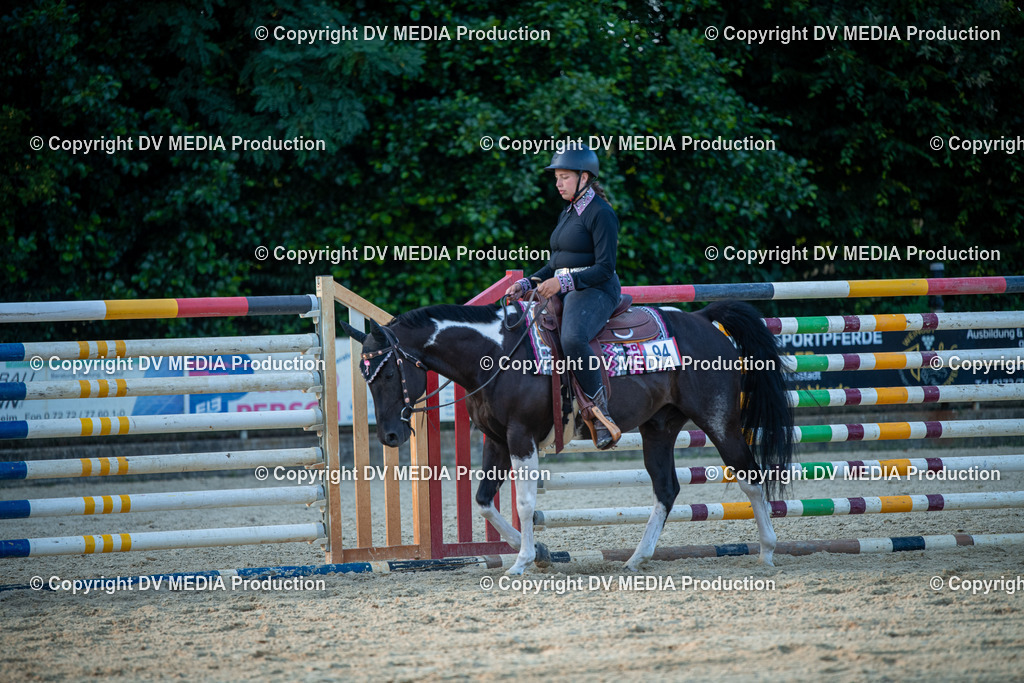 EWP_7217 | dv-media-shop - Realisiert mit Pictrs.com