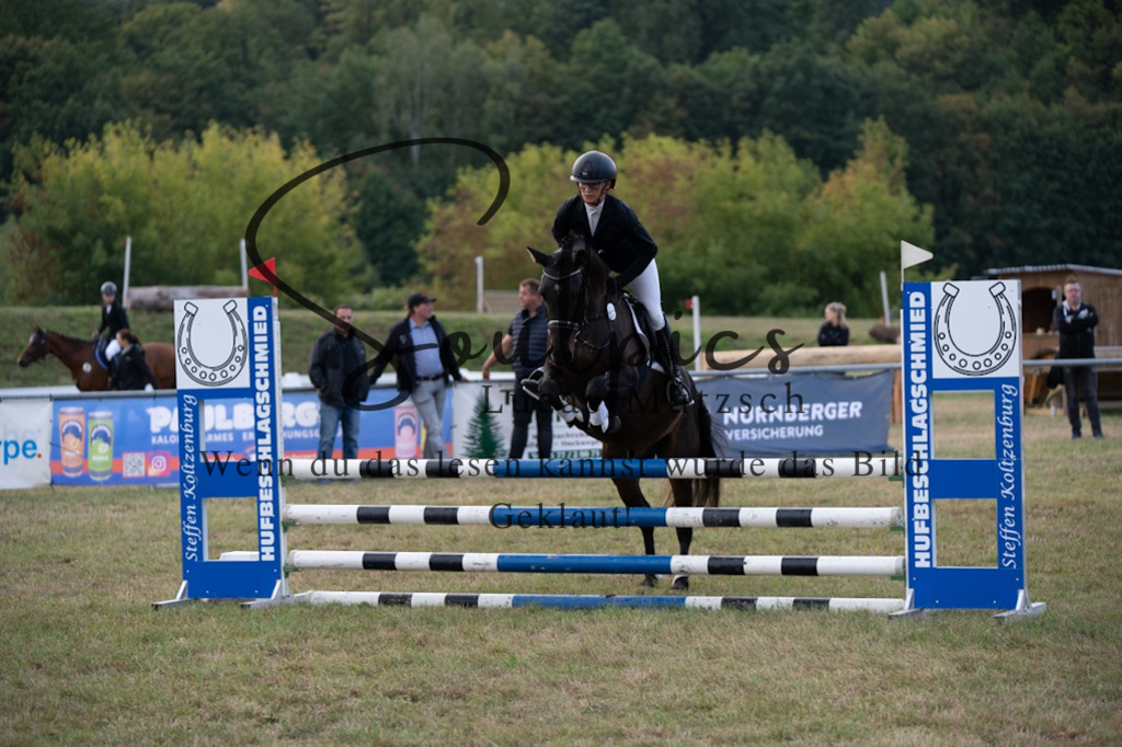 A7V07962 | Pferdefotograf