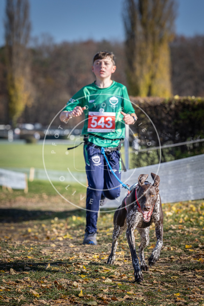 CaniXpix_DV3A8402 | Hundefotografie, Tierfotograf, Pfotenfotografie, Fotoshooting Hund, Hunde Portrait, Hundesport, Hundeportraits, Heideshooting, Hunde, Sportfotograf, Hundefotograf, Turnierhundsport, THS,  - Realisiert mit Pictrs.com