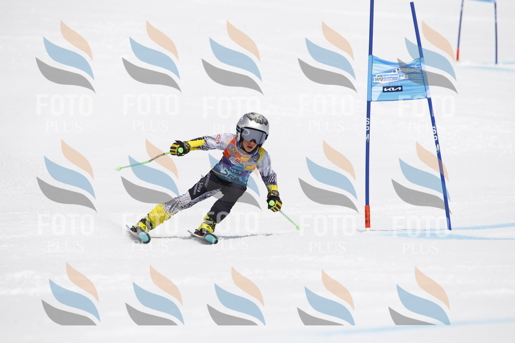 _U3G6480 | holidayphoto